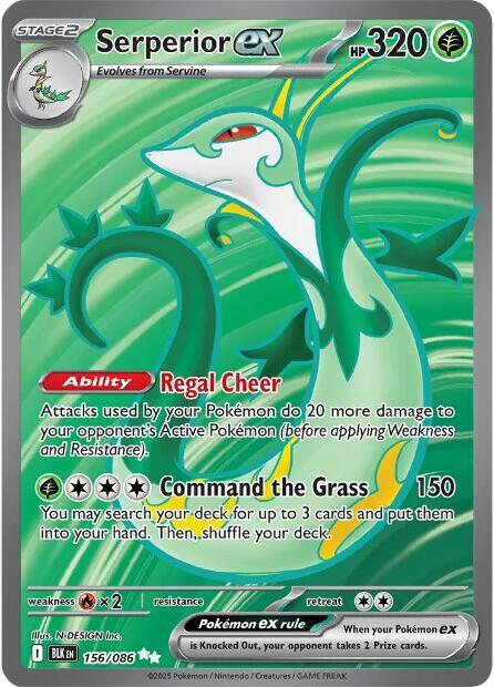 Serperior ex #156/086 (Holofoil) - Black Bolt